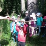 phoca_thumb_m_vp -3. den 49 Fotogalerie